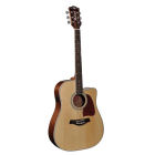 RICHWOOD RD-17-CE ARTIST SERIE DREADNOUGHT FISHMAN ELECTRONICS